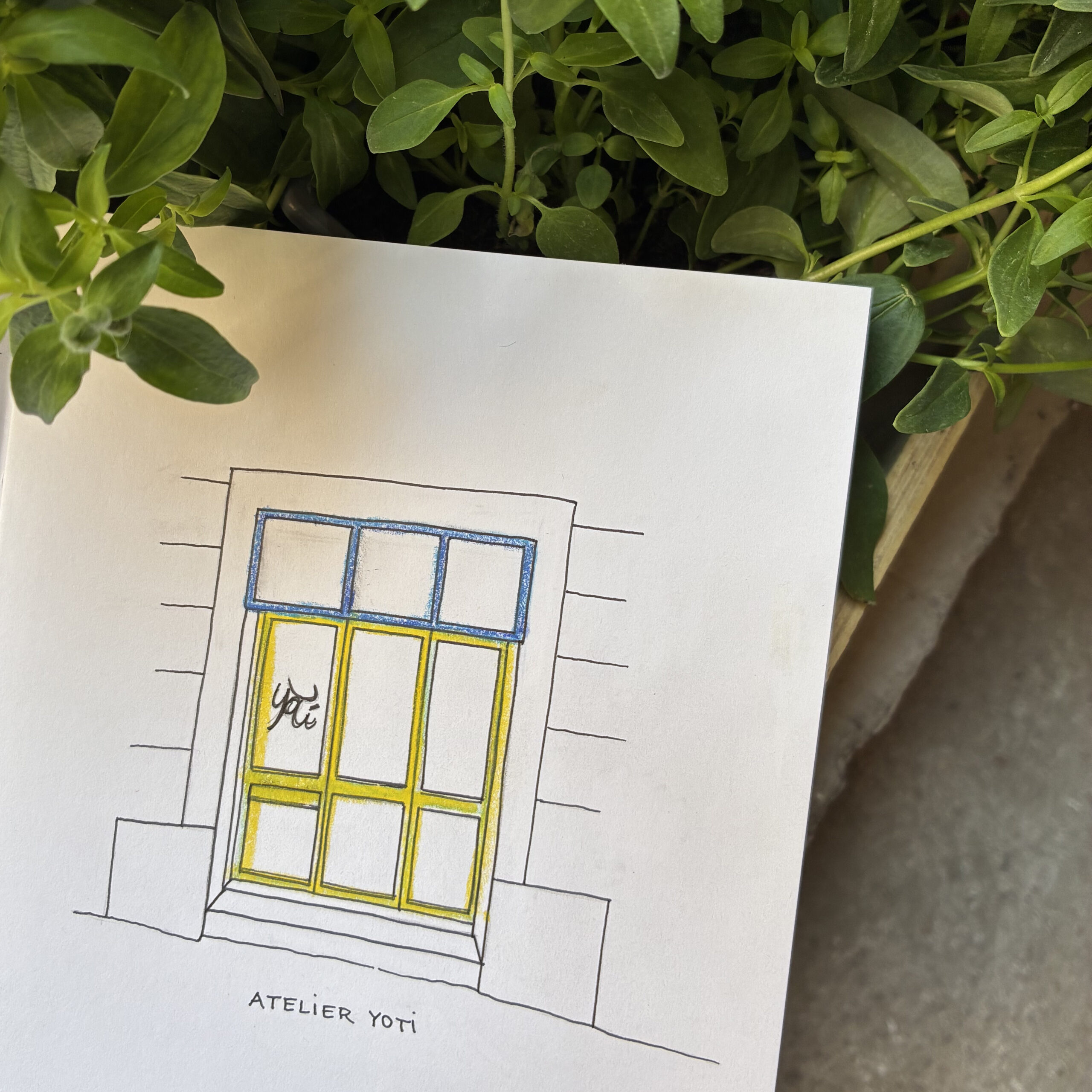 Dessin de la facade de l'atelier YoTi sur un carnet, avec des plantes derrière.